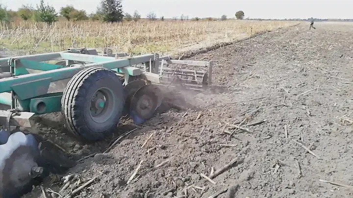 Дісковка соняху, БДВП 3.0