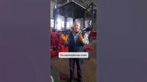 31 октября 2024 г.