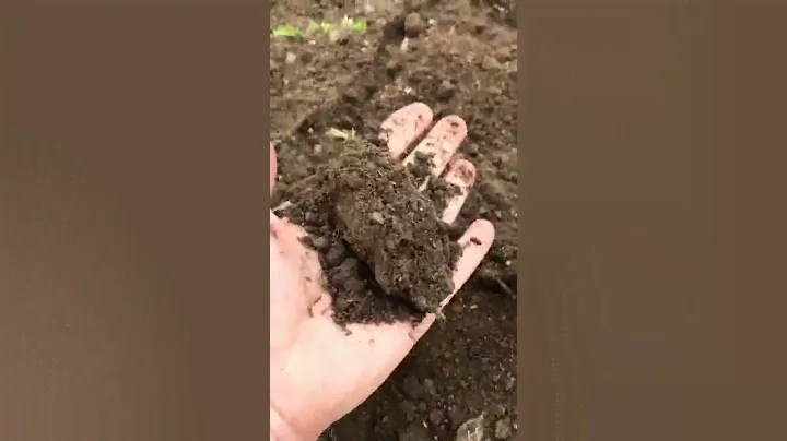 МОТОПЛУГ Агромаш.Санкции,говорите?А чё это?